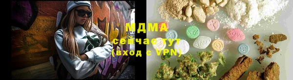 индика Аркадак