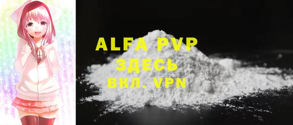 индика Аркадак