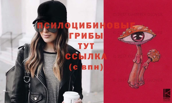 индика Аркадак