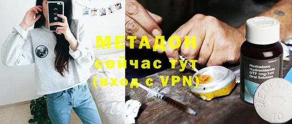 индика Аркадак